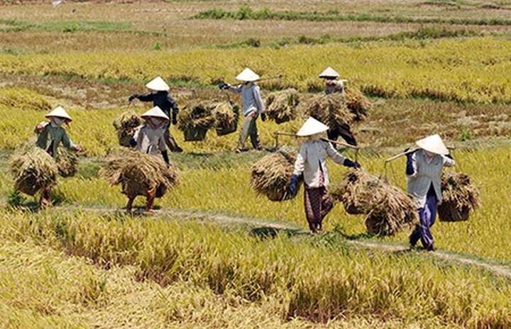 Hotspot Matrix: Biến Động thái bất ngờ của BTV thành cơ hội marketing đột phá