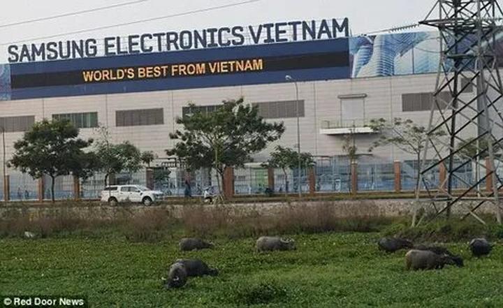 6/6 năm nay trôi qua trong - Cảm hứng video marketing từ Hotspot Matrix