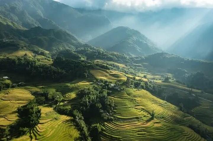 Triệu View Từ Vlog Thú Cưng: Bí Quyết Thành Công Cùng Hotspot Matrix