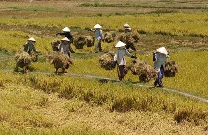 Hotspot Matrix: Cơ hội đầu tư an toàn cho người khởi nghiệp